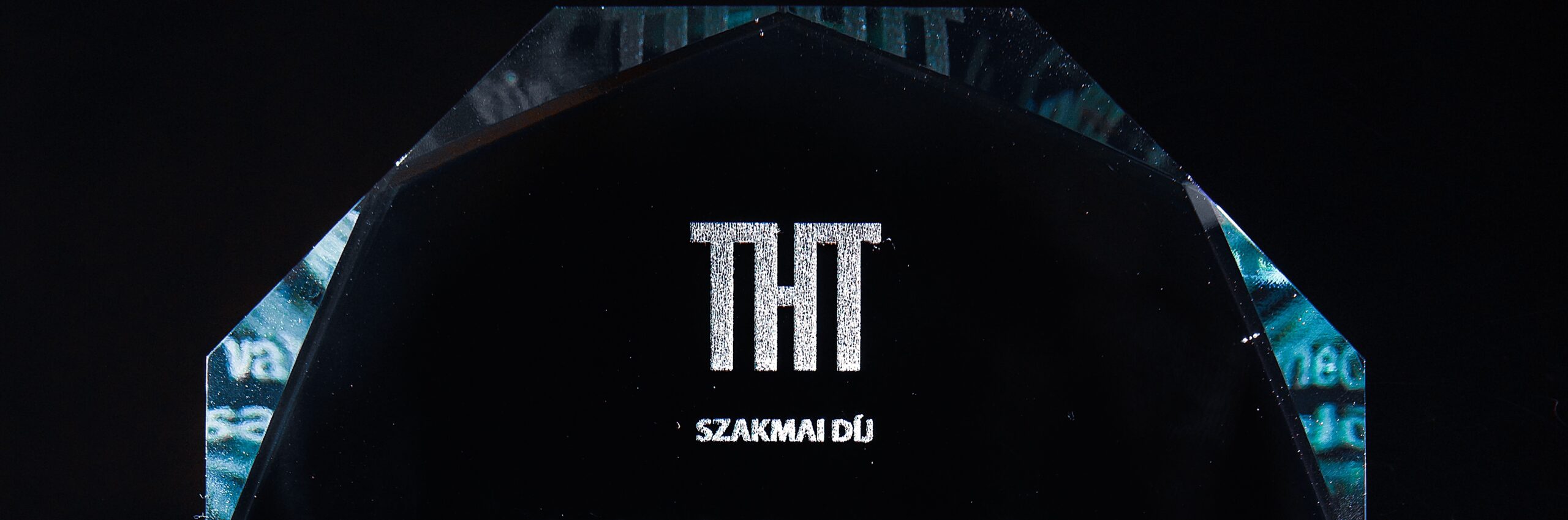 THT 2025-ös szakmai díjazottja